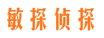 三穗私家调查公司